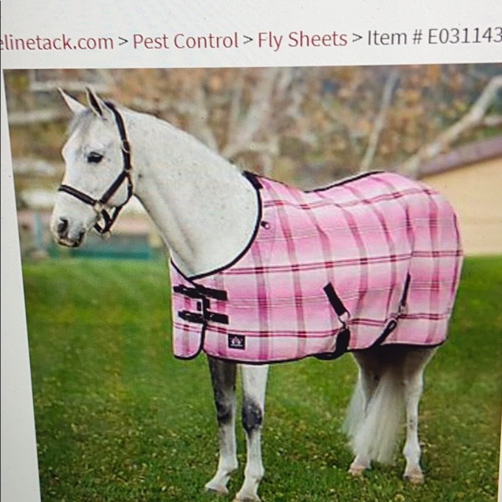 Horse blanket !